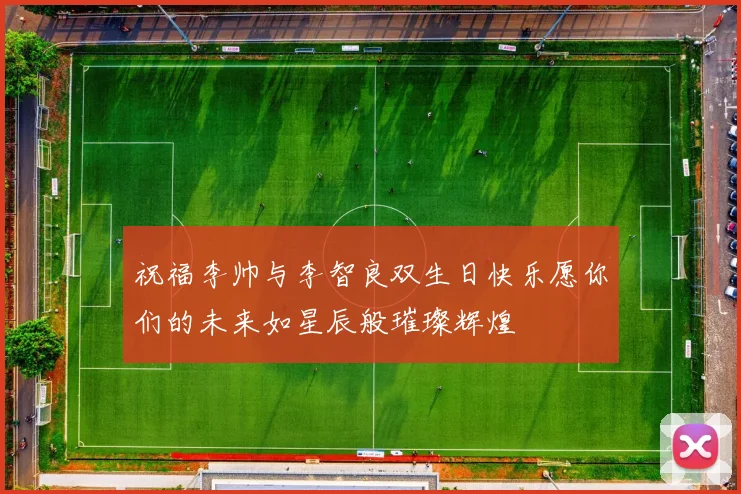 祝福李帅与李智良双生日快乐愿你们的未来如星辰般璀璨辉煌